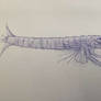 Megalopseudaspis rex