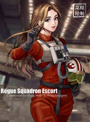 Rogue Squadron Escort