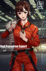 Red Squadron Expert