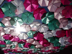 Umbrellas in Toulouse