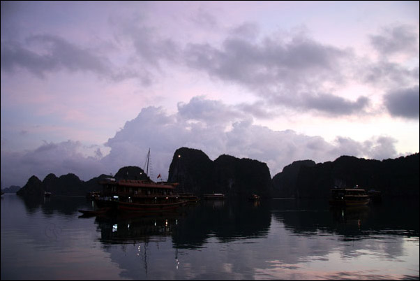 Purple Ha Long