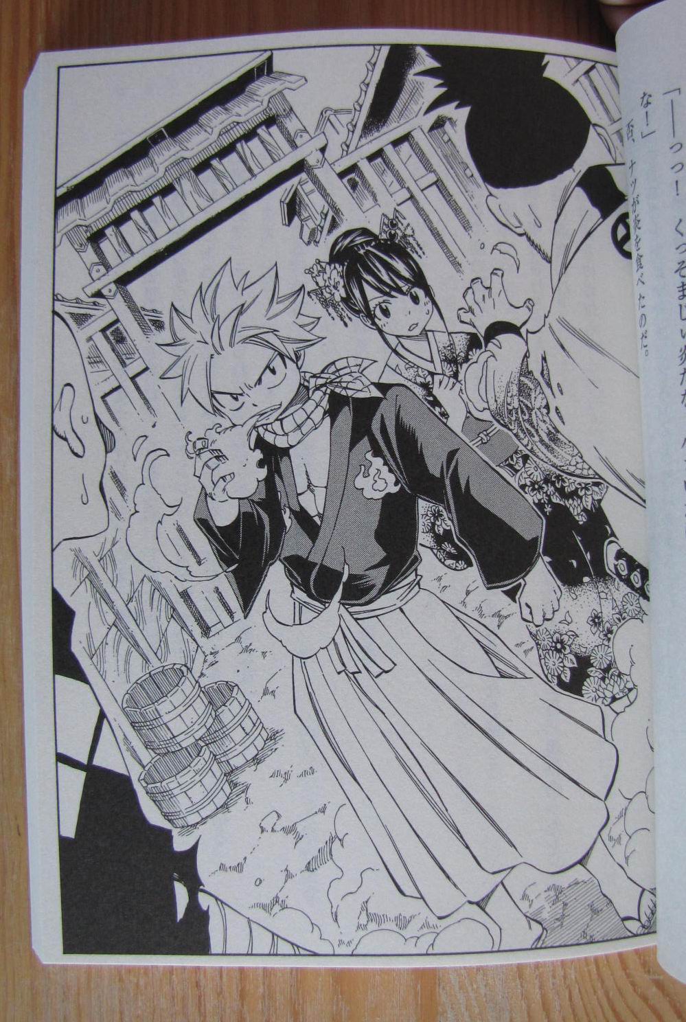 fairy tail novel natsu wendy