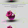 Header Tutorial Part 2 -T-