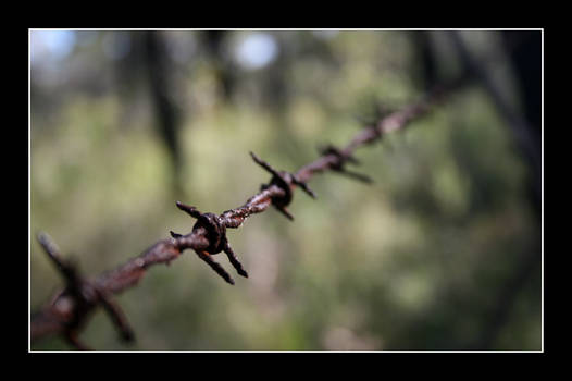 Barbed Wire