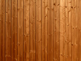 Wood Texture