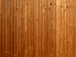 Wood Texture