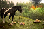 APACHE DOWN by LK-MENAGERIE