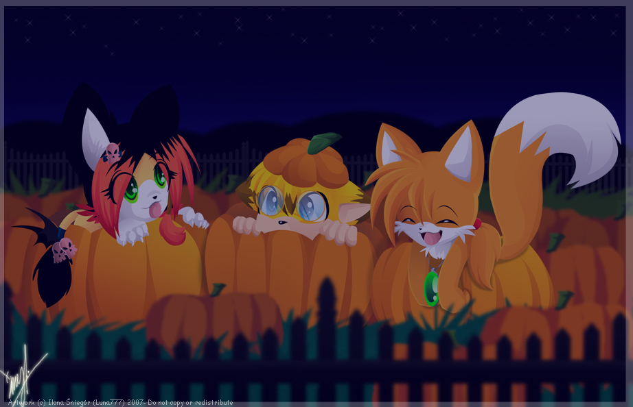 .::Pumpkin Field::.