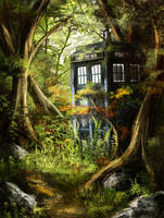 Tardis in the Woods