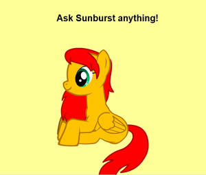 Ask Sunburst Anything!