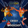 Crash Bandicoot - Multiverse