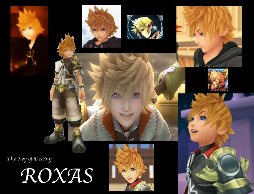 Dnd Oc Roxas The Roxas Collage by AetheriumDreams on DeviantArt