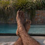 Chilling by the pool