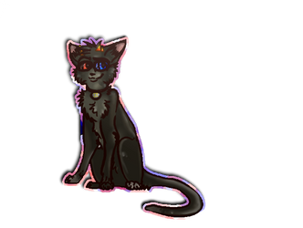 .:Sollux Cat:.