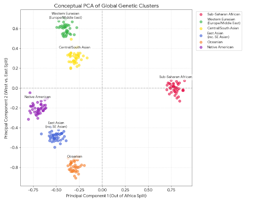 Human Genetic Clusters by DiabloKrom on DeviantArt