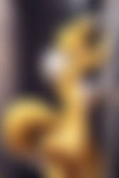 Renamon Showering