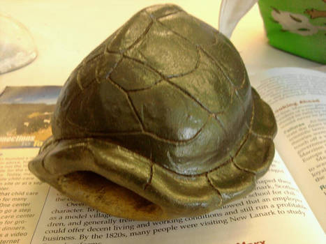 Turtle Shell Sculpture