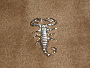 Cast Scorpion