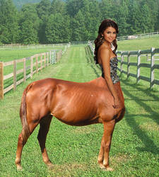 Selena Gomez Centauress