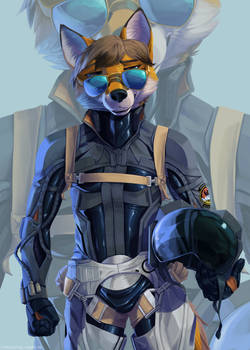 Ace Pilot [Commission]