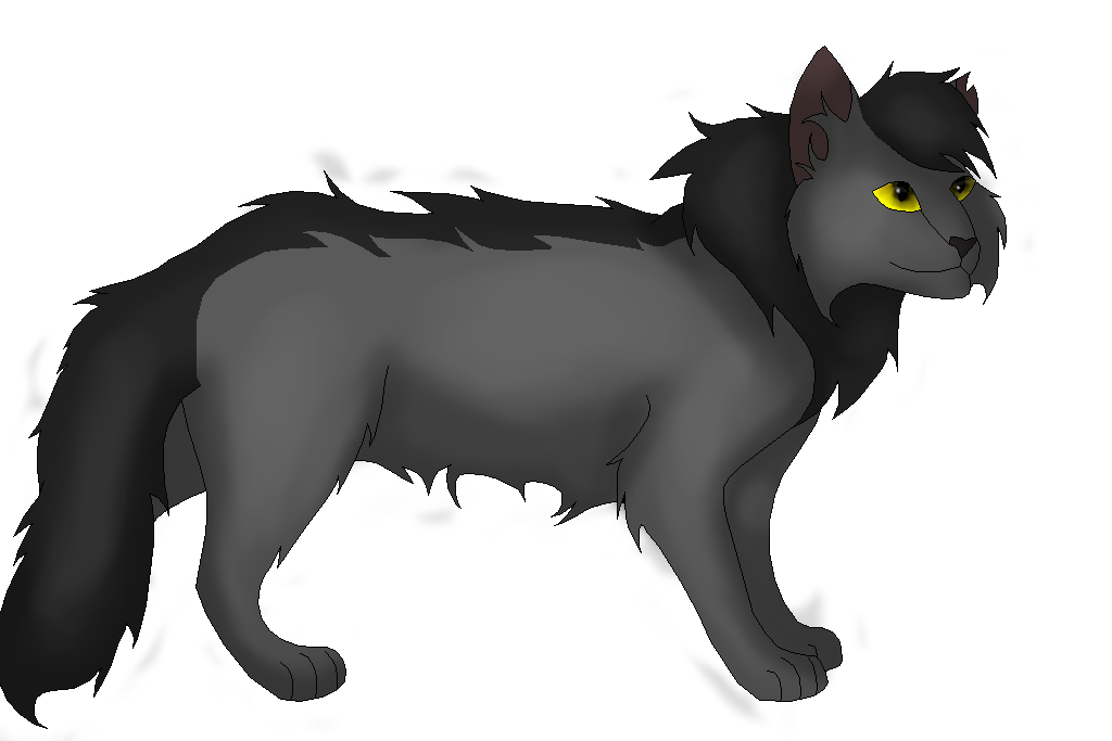 Graystripe