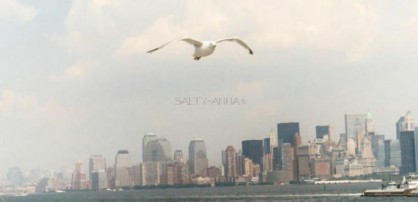 GULLSKYLINE