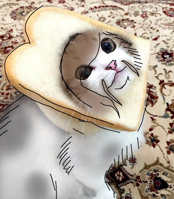 CAT TOKI WARTOOTH 6: REALISM by funknives on DeviantArt