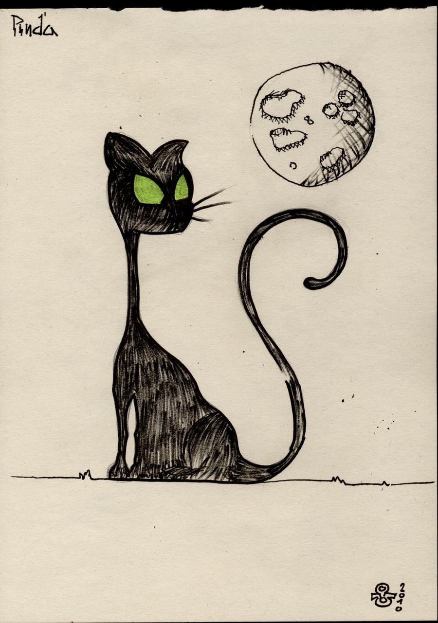 cat and moon