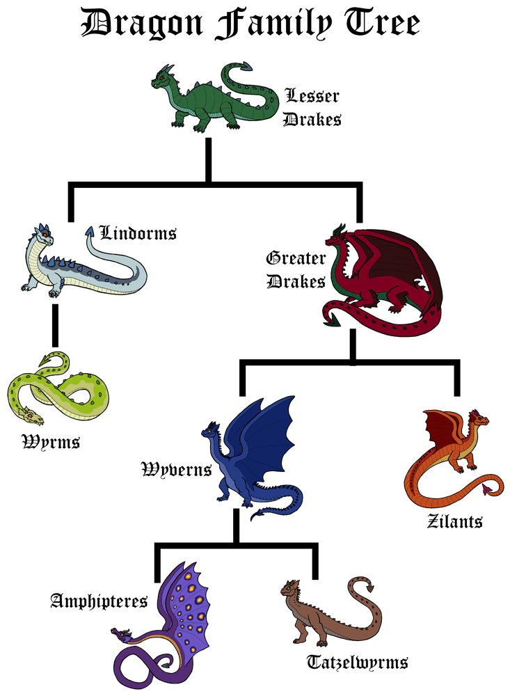 Dragon Type Tree Dragon-family-tree by ZacharyFreeman on DeviantArt