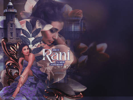 Header Rani