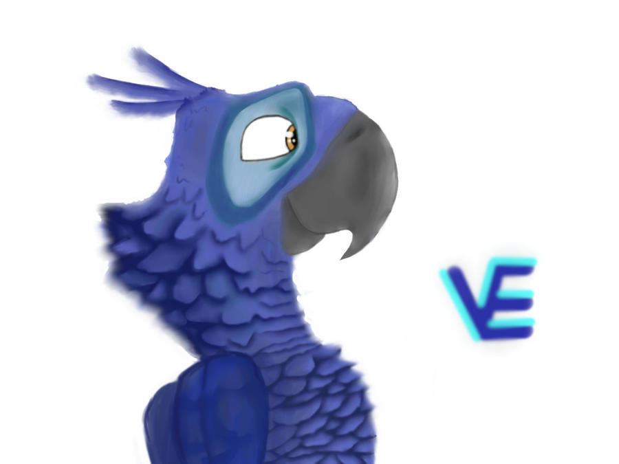 Blu Rio Render Deviantart RIO: new blu test by veloco96 on DeviantArt