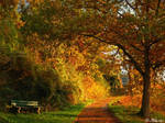 Autumn's Light by Ibilicious