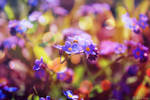 Everlasting Love by Ibilicious