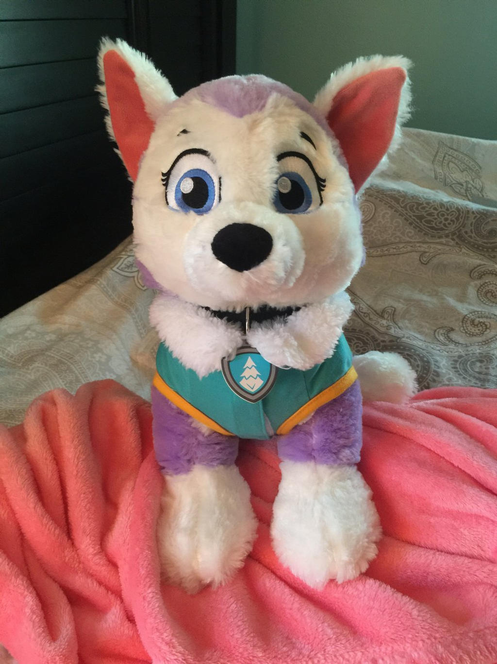 Paw Patrol Everest Build a Bear by peachyplush on DeviantArt