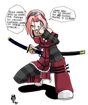 Shinobi rule  No.25