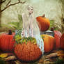 White fairy pumpkins