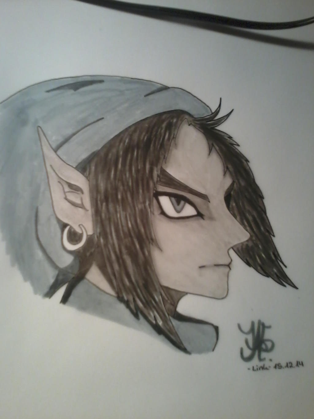 Evil Link - Twilight Princess