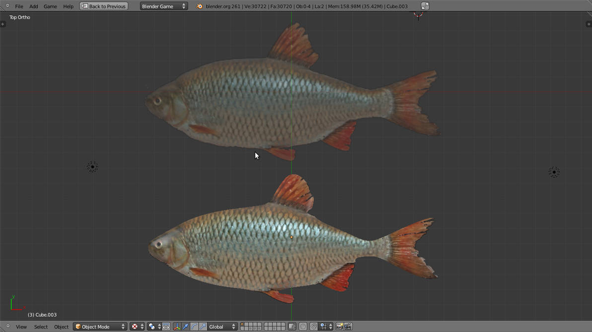 High Poly Fish Model - 1 by Karakasimov on DeviantArt