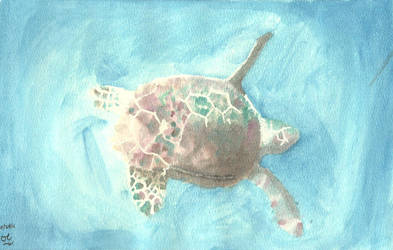 Seaturtle