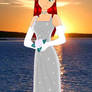 Starfire's Wedding Dress