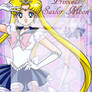 Princess Sailor Moon Journal Skin