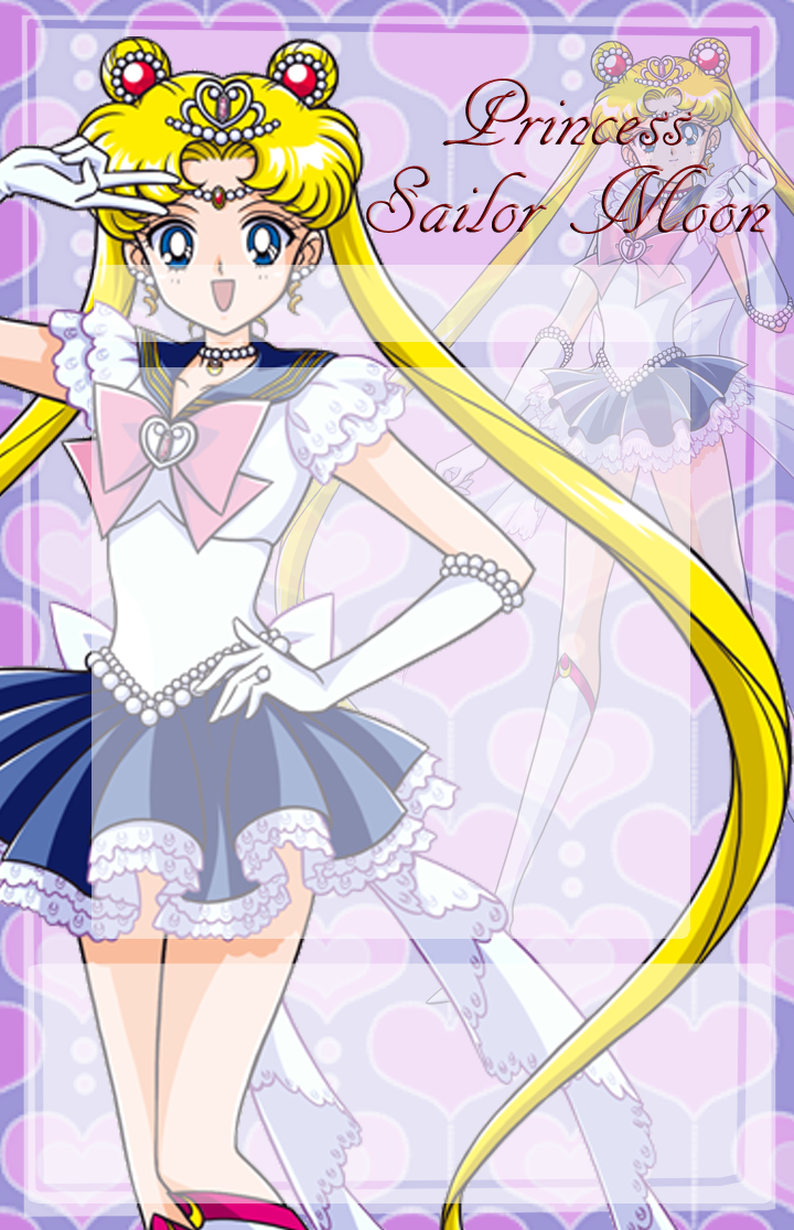 Princess Sailor Moon Journal Skin