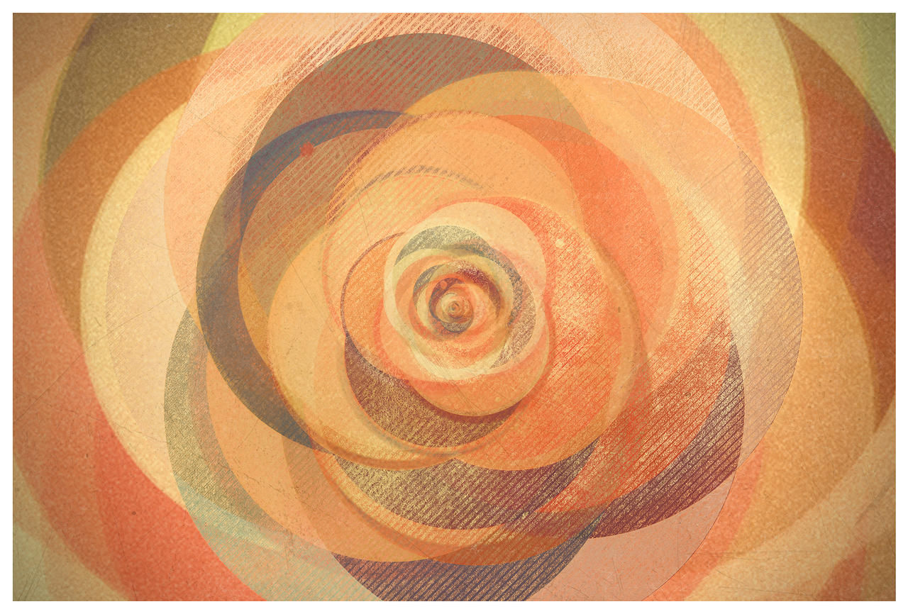 Distorted Rose Distorted Rose by convergence999 on DeviantArt