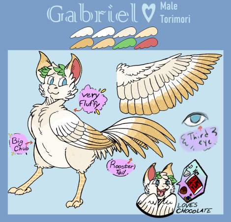 Gabriel~ Torimori (M315)