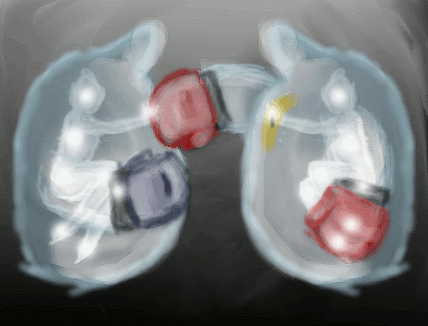 Powerpoint Punching Animation Punch animation by clumsydot on DeviantArt