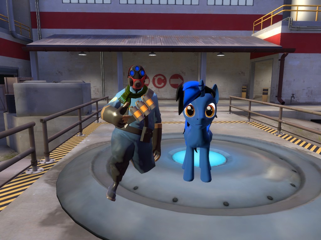 my tf2 sony and ponysona