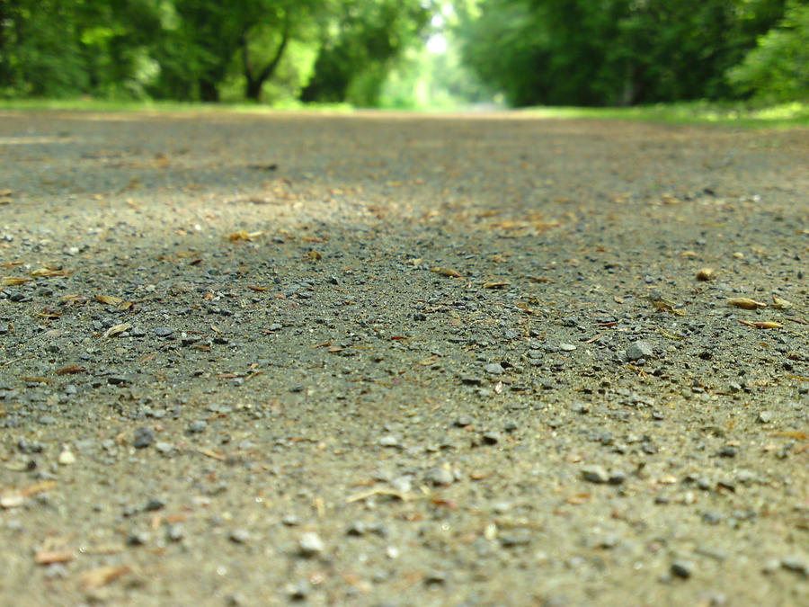 way ground macro by Premann on DeviantArt