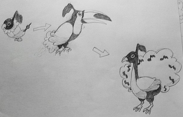 Chatot Evolution Path Chatot Evolutions by flumpytripod on DeviantArt