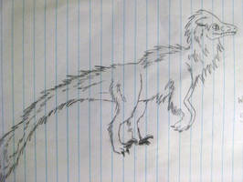 Wolf Velociraptor