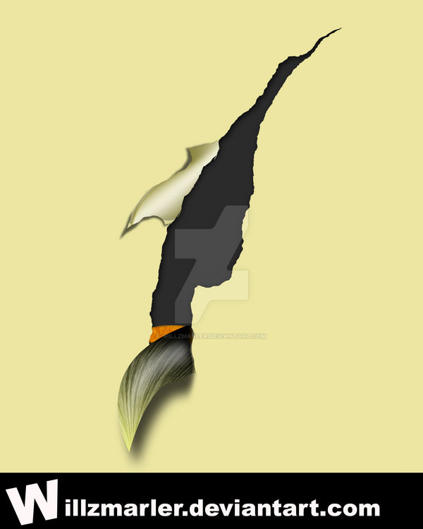 Claw Paper Rip by WillZMarler on DeviantArt